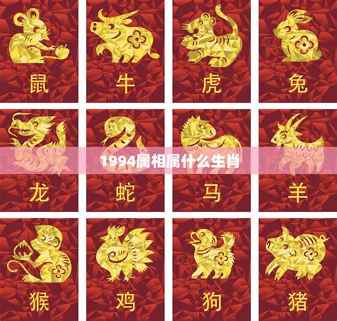 1994属|1994 年出生属什么生肖